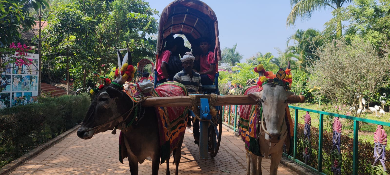 Traditional Bullock Cart Ride
